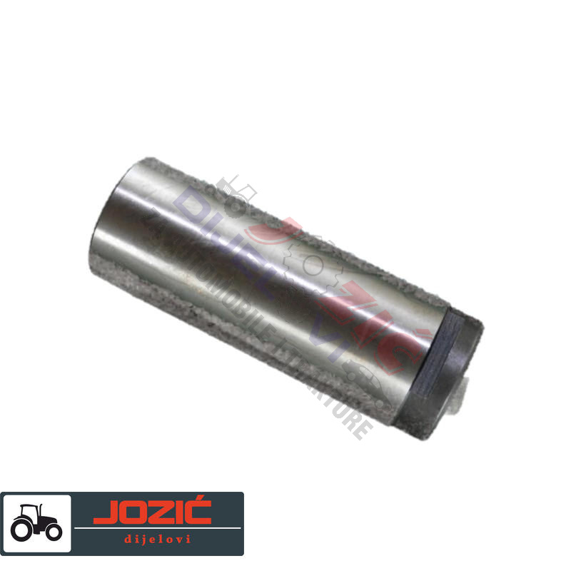 Daisy on the Ohoopee